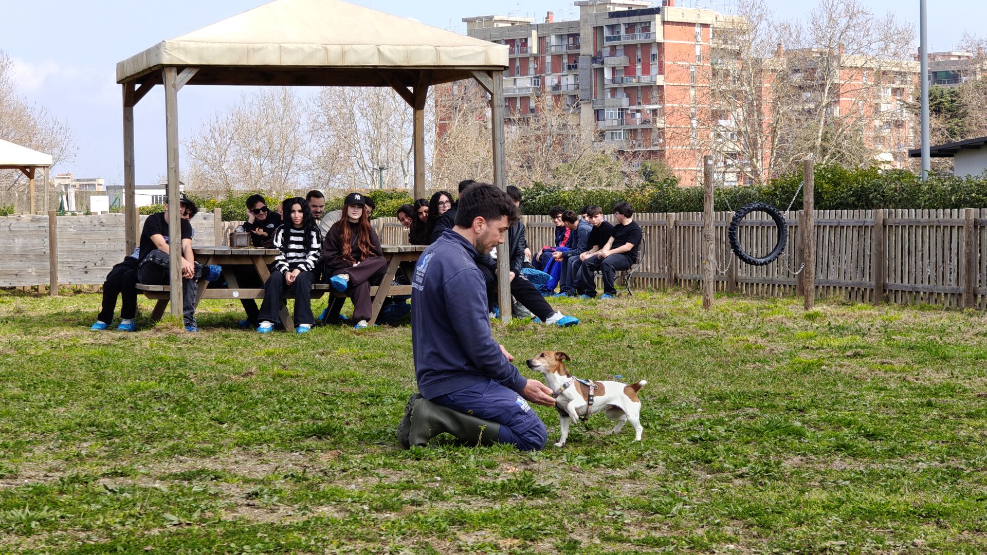 Napoli, studenti alla Collina di Argo per educare al rispetto degli animali