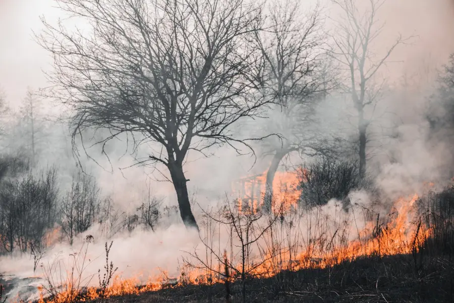 Torre del Greco, forum sugli incendi boschivi e la prevenzione nell’area vesuviana