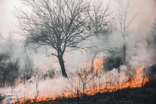 Torre del Greco, forum sugli incendi boschivi e la prevenzione nell’area vesuviana