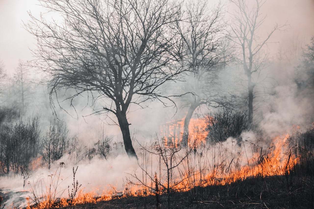 Torre del Greco, forum sugli incendi boschivi e la prevenzione nell’area vesuviana