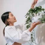 Benefici ambientali del verde domestico: come migliora casa e qualità dell’aria