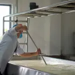 Soluzioni impiantistiche per il settore alimentare e delle bevande: tecnologia, automazione ed efficienza per ogni fase produttiva