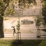 Napoli rafforza il suo impegno contro il cambiamento climatico