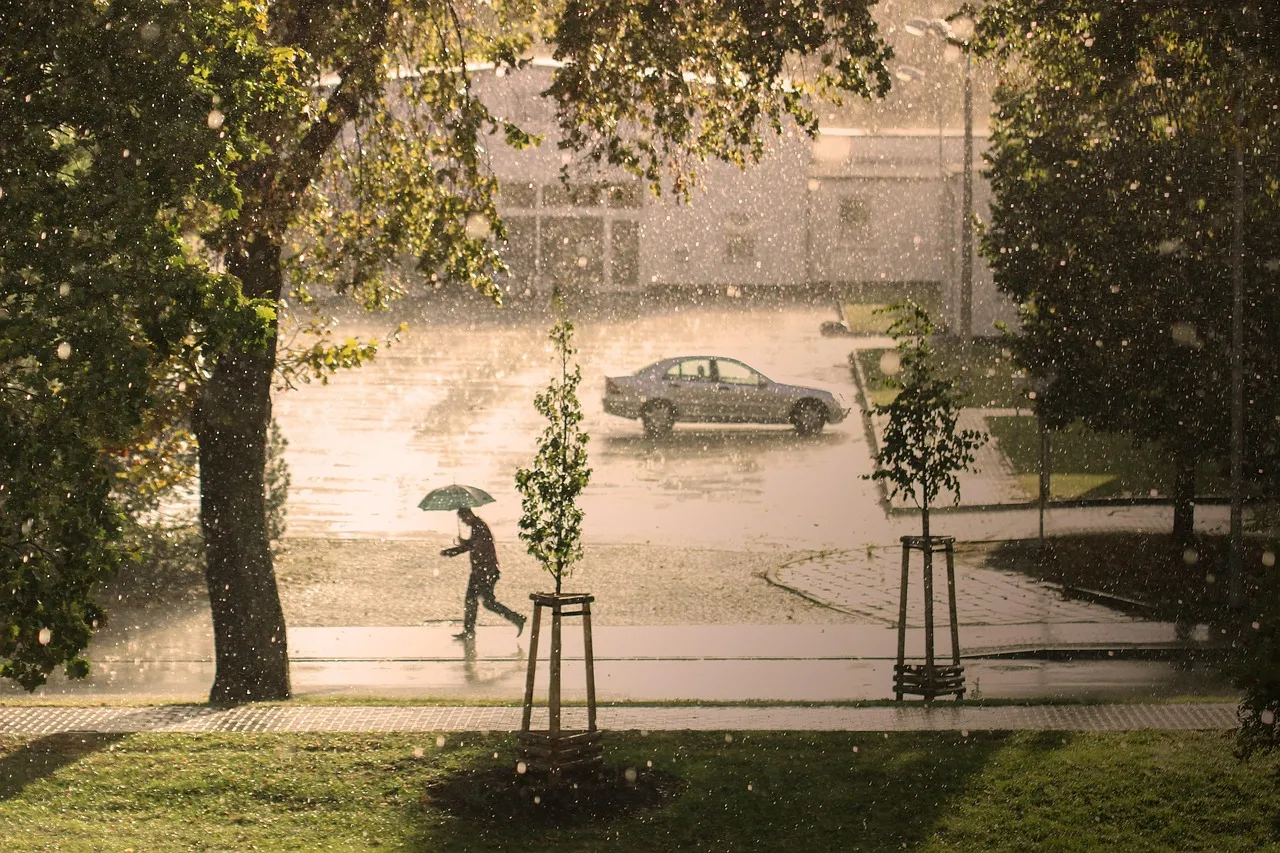 Napoli rafforza il suo impegno contro il cambiamento climatico